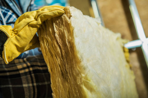 Best Blown-in Insulation in Boise, ID