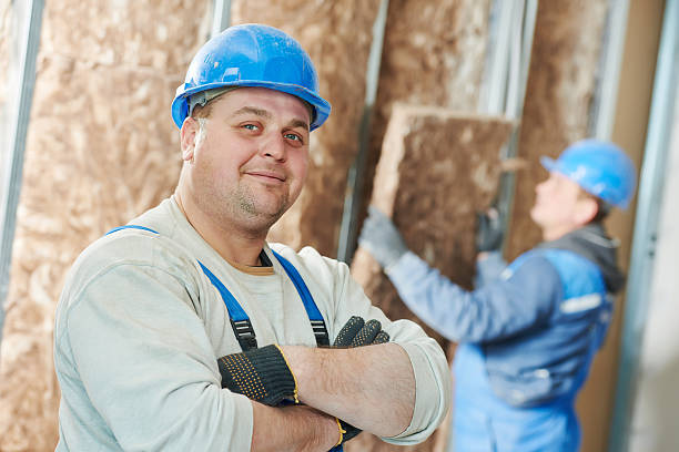 Best DIY Insulation Kits and Guidance in Boise, ID